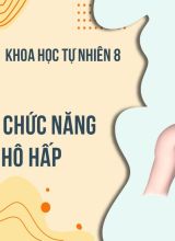 Cấu tạo và chức năng của hệ hô hấp - KHTN 8  -  Hoc10
